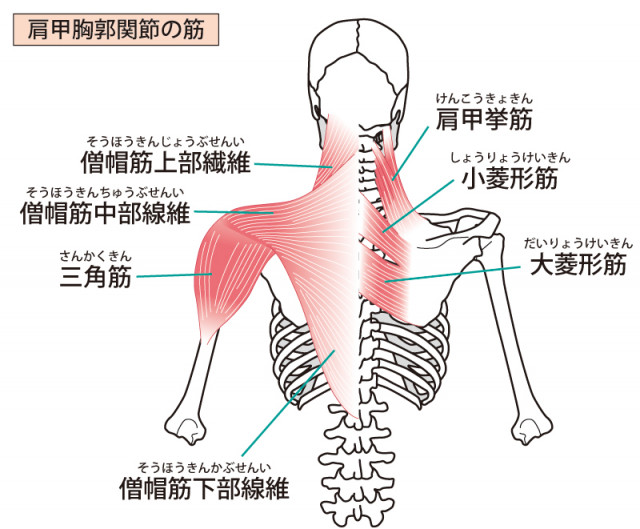 施術室の写真
