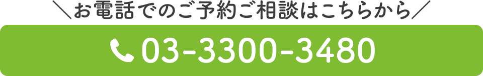 電話番号：03-3300-3480